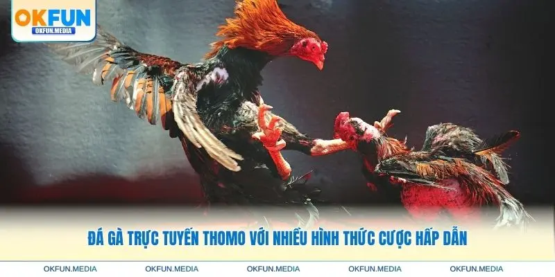 da-ga-truc-tuyen-thomo-nhieu-hinh-thuc-cuoc